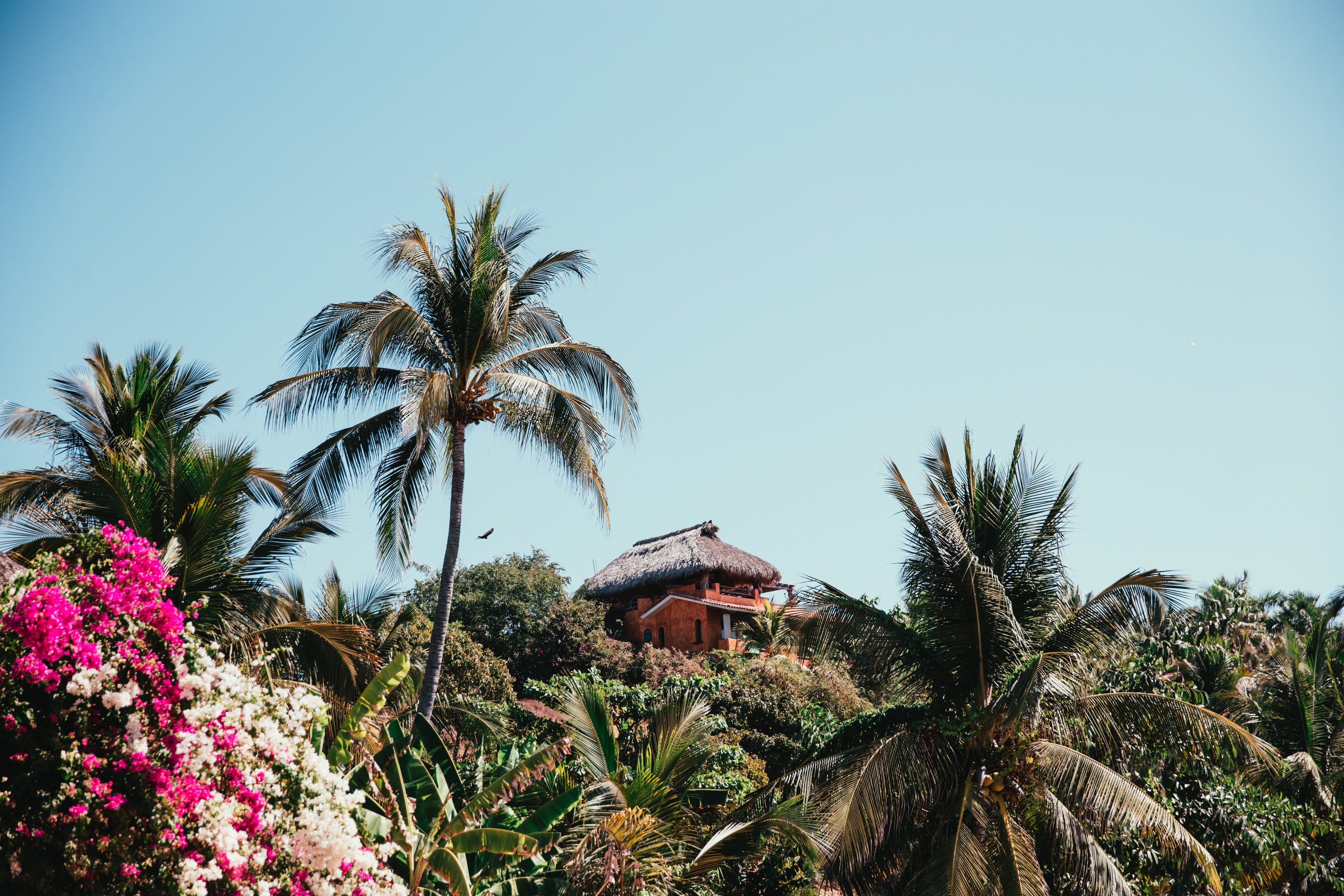 Resort Capsule