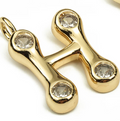 H Charm